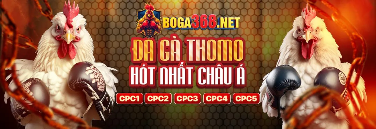 Đá gà trực tuyến 8xbet đỉnh cao