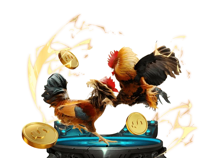 Biểu tượng cookie và dữ liệu số minh họa cách cookie hoạt động