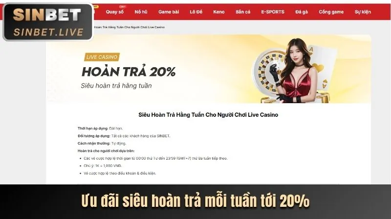 Biểu tượng hoàn trả tiền cược thể thao hàng tuần tại 8xbet
